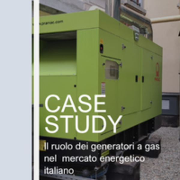 Il ruolo dei generatori a gas nel mercato energetico italiano (
    
                    
    0.4 MB
)